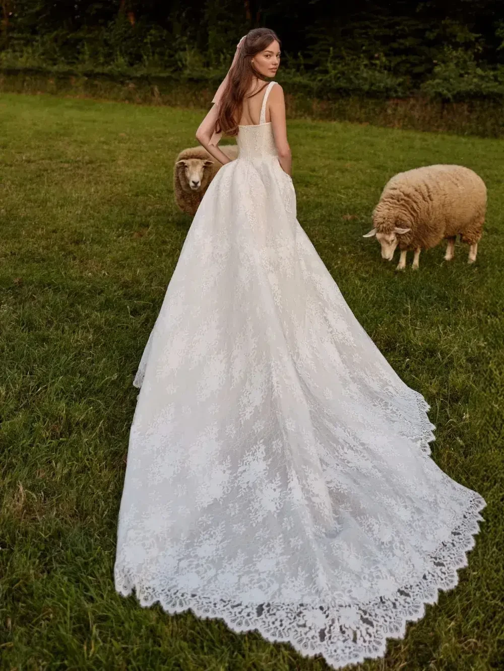 A woman in a flowing lace wedding gown stands on a grassy field with two sheep nearby, creating a serene and pastoral scene.