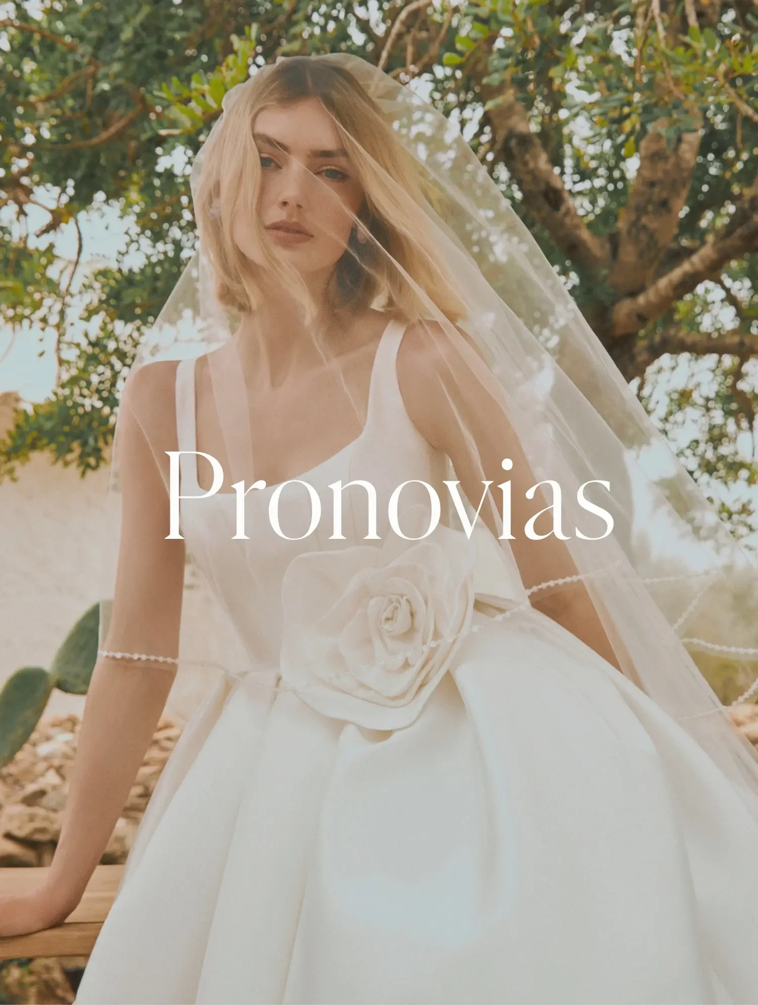Pronovias Wedding Dresses