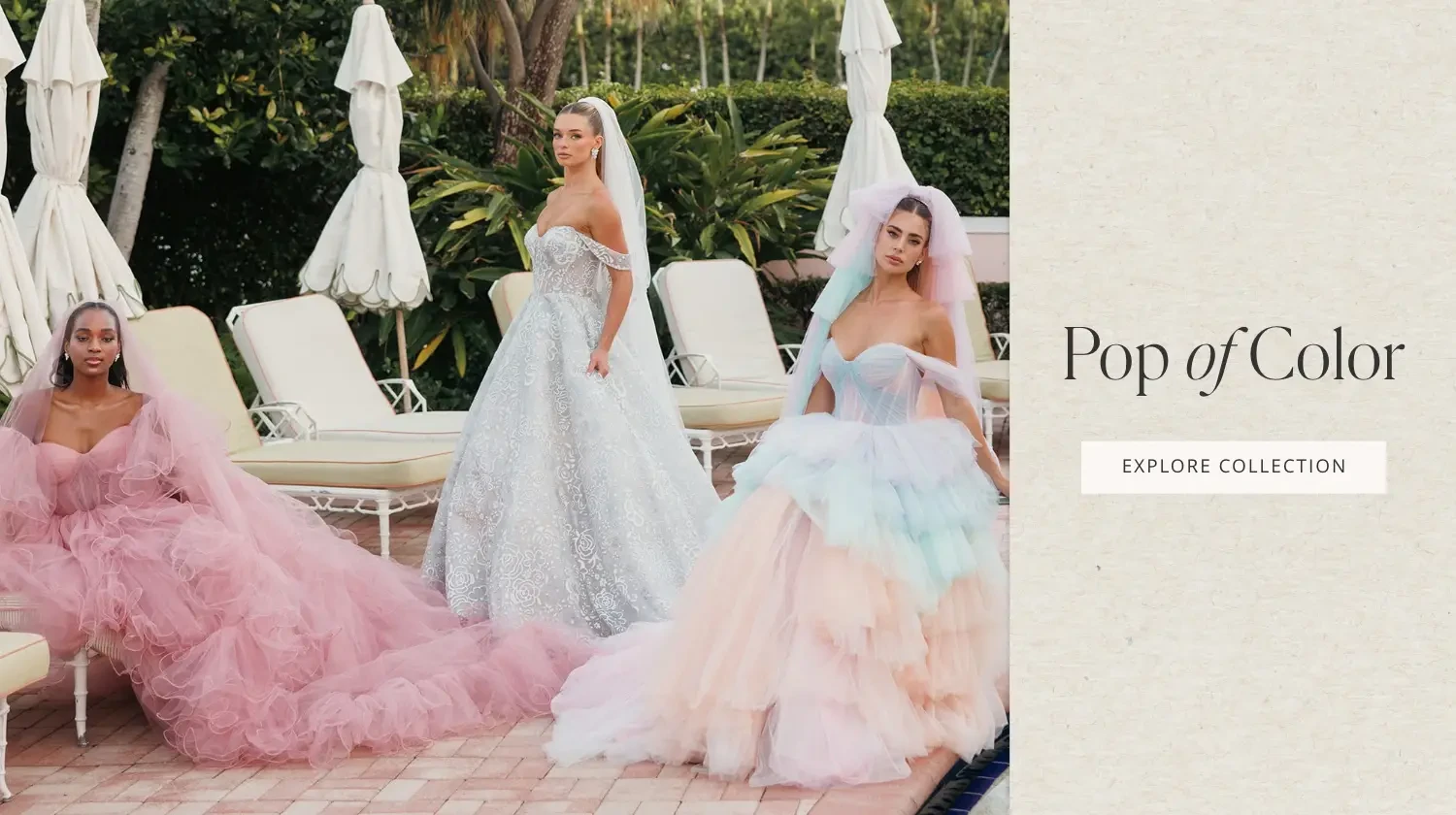 Pop of Color Mobile Banner